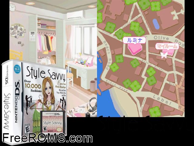 Style Savvy NDS game showing 3D box cover and gameplay screenshot