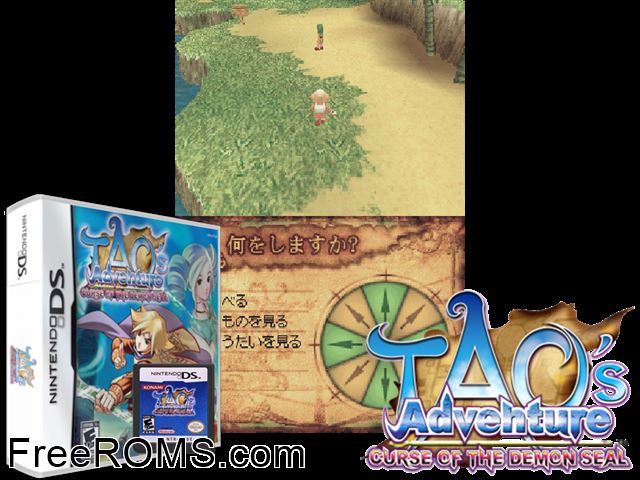 Taos Adventure - Curse of the Demon Seal Europe NDS game showing 3D box cover and gameplay screenshot