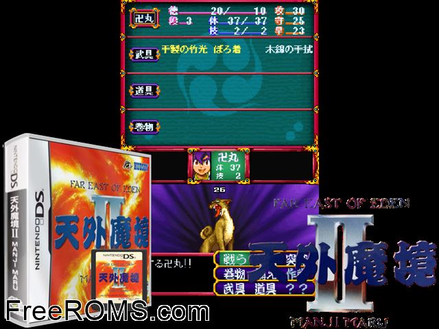 Tengai Makyou II - Manji Maru Japan NDS game showing 3D box cover and gameplay screenshot