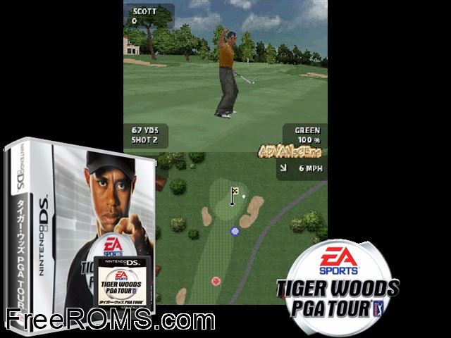 Tiger Woods PGA Tour Japan NDS game showing 3D box cover and gameplay screenshot