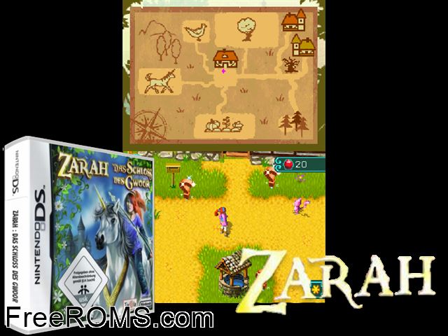 Zarah Gwoors Castle Europe NDS game showing 3D box cover and gameplay screenshot
