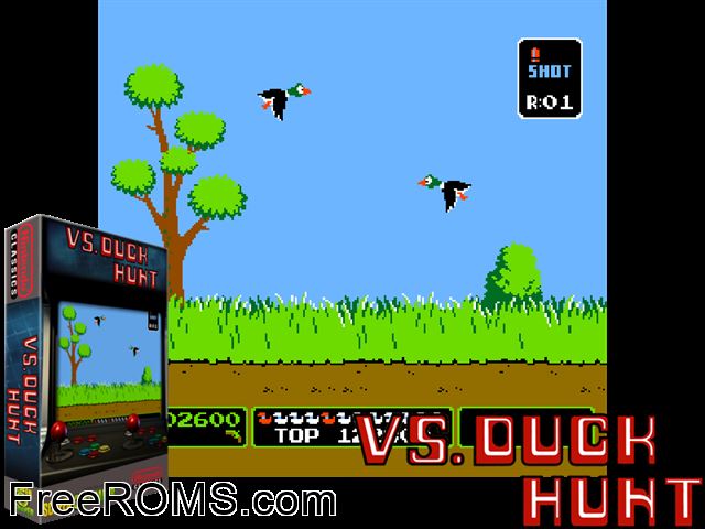 Duck Hunt NES game showing 3D box cover and gameplay screenshot