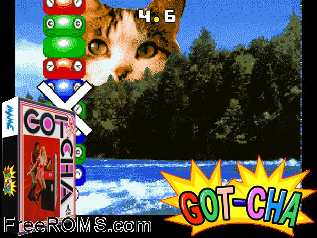 Gotcha NES game showing 3D box cover and gameplay screenshot