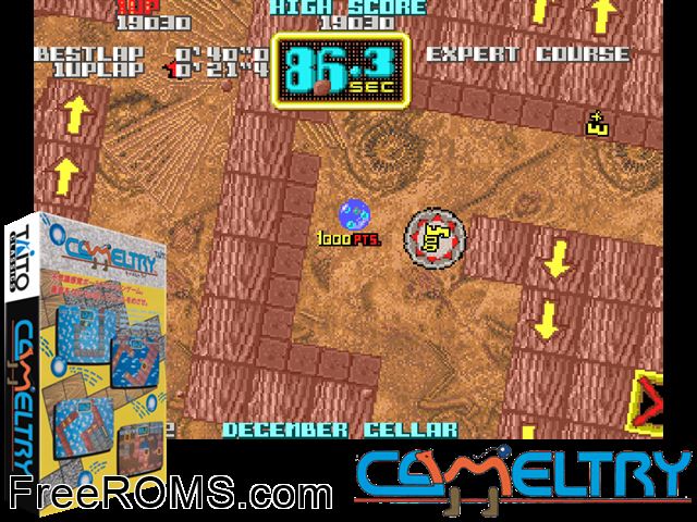 Camel Try Raine game showing 3D box cover and gameplay screenshot