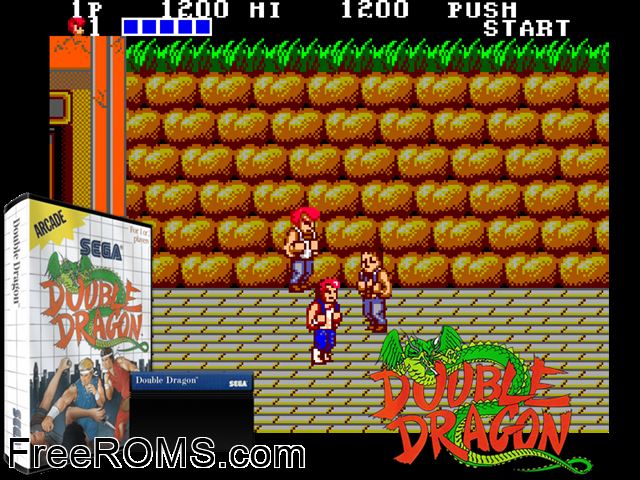 Double Dragon Sega Master System game showing 3D box cover and gameplay screenshot