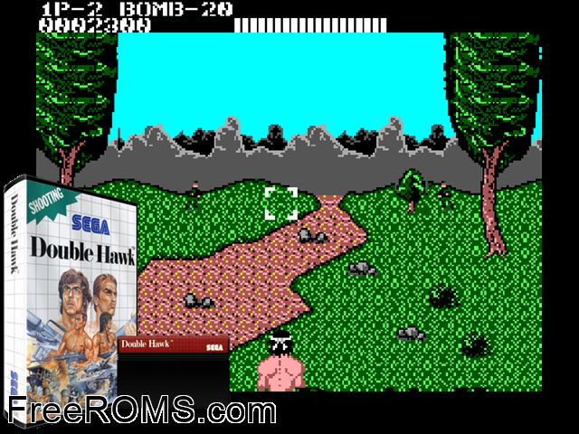 Double Hawk Sega Master System game showing 3D box cover and gameplay screenshot