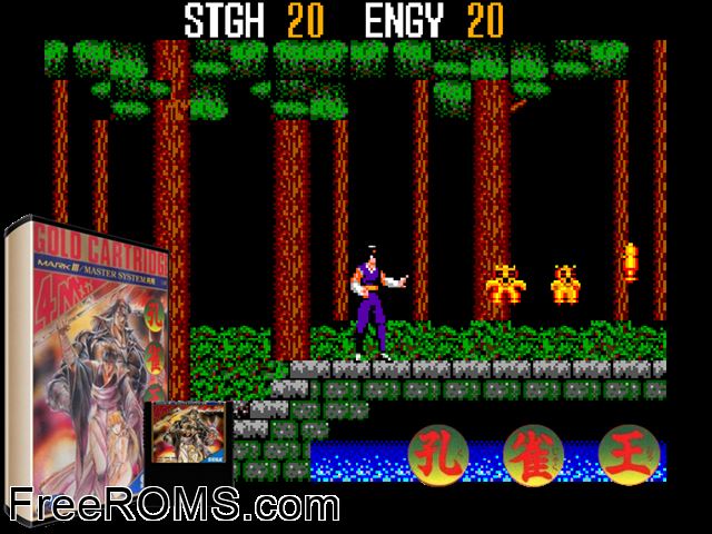 Kujakuou Sega Master System game showing 3D box cover and gameplay screenshot