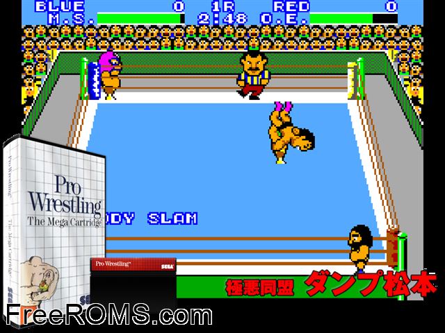 Pro Wrestling Sega Master System game showing 3D box cover and gameplay screenshot