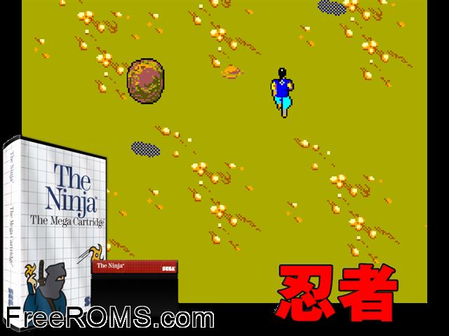The Ninja Sega Master System game showing 3D box cover and gameplay screenshot