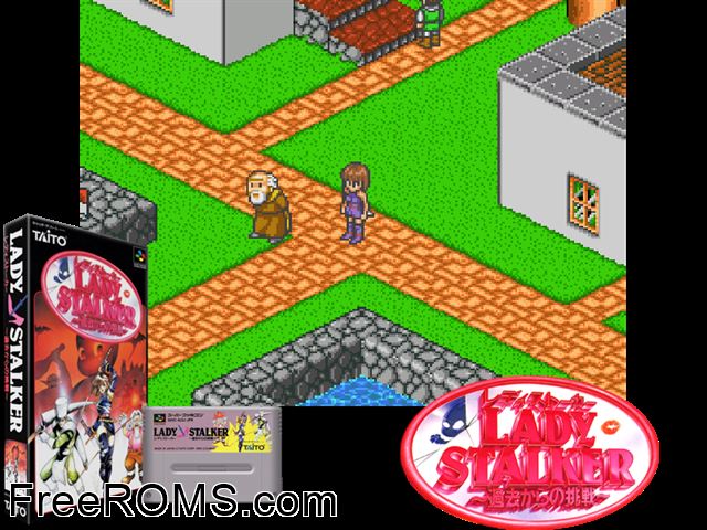 Lodoss Tou Senki - Record of Lodoss War SNES game showing 3D box cover and gameplay screenshot