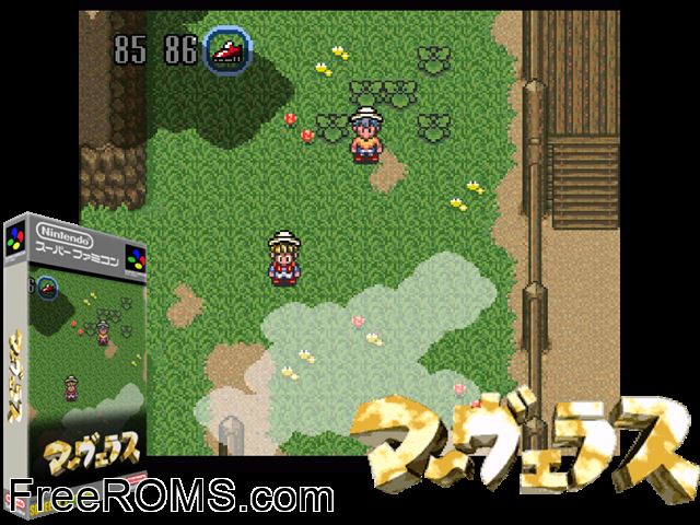 Marvelous Camp Arnold Course SNES game showing 3D box cover and gameplay screenshot