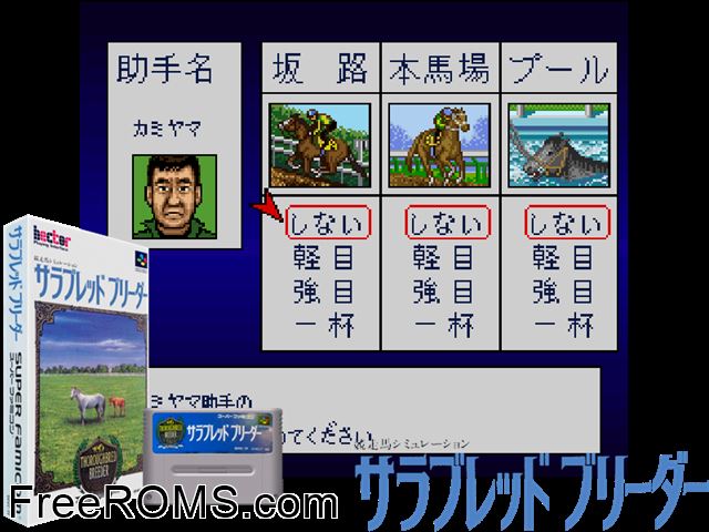 Thoroughbred Breeder SNES game showing 3D box cover and gameplay screenshot