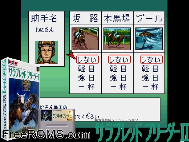 Thoroughbred Breeder II SNES game showing 3D box cover and gameplay screenshot