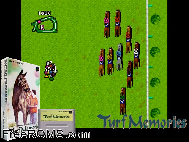 Turf Memories SNES game showing 3D box cover and gameplay screenshot