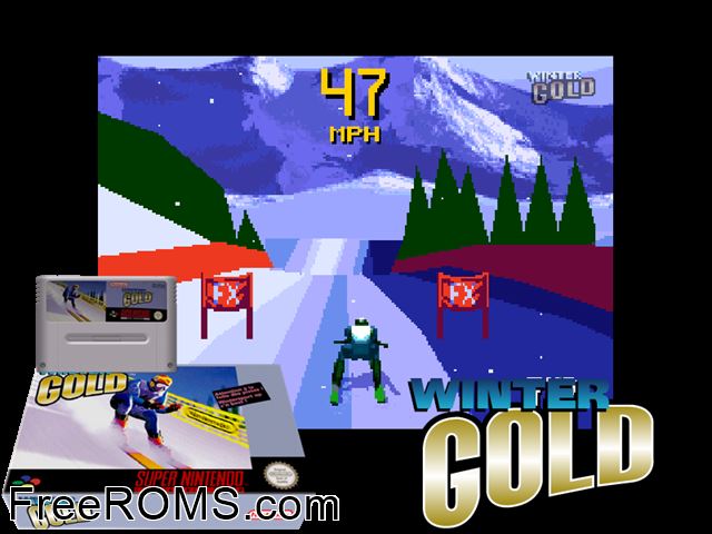 Winter Gold SNES game showing 3D box cover and gameplay screenshot