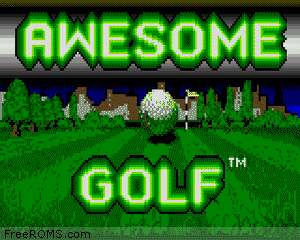 Awesome Golf (1991) Screen Shot 1