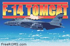 F-14 Tomcat Screen Shot 1