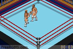 Fire Pro Wrestling 2 Screen Shot 2