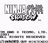 Ninja Gaiden Shadow Screen Shot 1