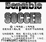 Sensible Soccer Screen Shot 1