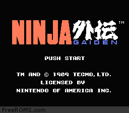 Ninja Gaiden Screen Shot 1