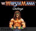 WWF WrestleMania Challenge Screen Shot 1