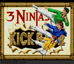 3 Ninjas Kick Back Screen Shot 1