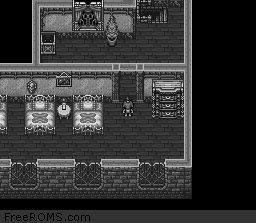 Breath of Fire II Screen Shot 2