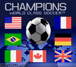 Champions World Class Soccer Screen Shot 1