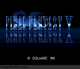 Final Fantasy V Screen Shot 1