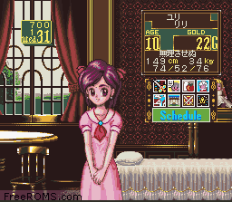 Princess Maker - Legend of Another World Screen Shot 2