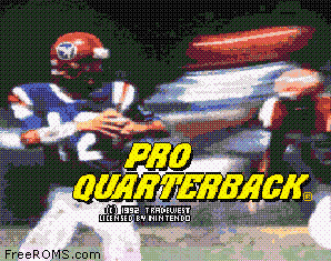 Pro Quarterback Screen Shot 1