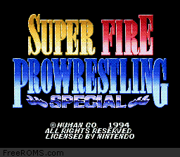 Super Fire Pro Wrestling Special Screen Shot 1