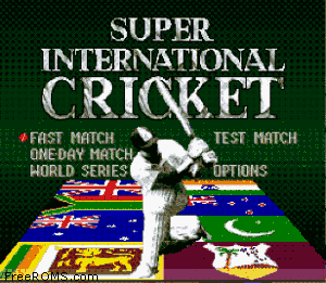 Super International Cricket Screen Shot 1