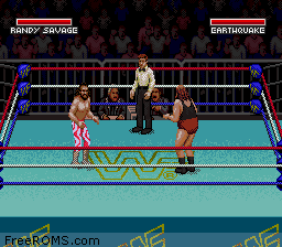 WWF Super WrestleMania Screen Shot 2